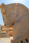 Iran - Persepolis: bull's head - horns cut - photo by M.Torres