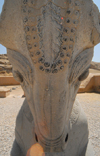 Iran - Persepolis: bull's head - front view - photo by M.Torres