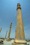 Iran - Persepolis: Apadana - column - photo by M.Torres