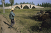 Iran - Zanjan province: shepherd  and Mir Baha-e-din Bridge - Qajar dynasty - Zanjan-Rood river - photo by W.Allgower