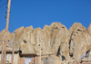 Kandovan, Osku - East Azerbaijan, Iran: cone shaped hills with troglodyte homes carved out in the eroded rock - photo by N.Mahmudova