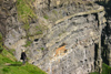 Ireland - Cliffs of Moher (county Clare): woman on the edge  - photo by N.Keegan