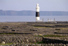 Ireland - Inisheer - Aran islands (Galway / Gaillimh county): lighthouse (photo by R.Wallace)