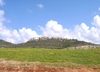 Haifa, Israel: green hills and suburbia - photo by E.Keren