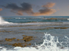 Israel - Kibbutz Sdot Yam: lonely in the sea - photo by Efi Keren