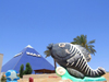 Israel - Eilat, South district: pyramid - the Imax theater and a nice looking fish - photo by M.Bergsma
