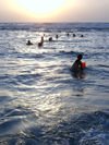Israel - Eilat: night swimming in the Gulf of Aqaba - red sea - photo by Efi Keren