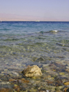 Israel - Eilat: waters of the Red Sea - Gulf ot Eilat - photo by Efi Keren