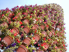 Israel - Hadera: Park Hef Tziba - upward - cascade of flower vases - photo by Efi Keren