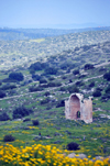 Beit Guvrin National Park, Yoav Region, South District: ruins of the Byzantine church of Saint Anne - photo by M.Torres