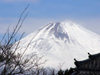 Japan (Honshu island) Mount Fuji from Lake Ashi - photo by G.Frysinger