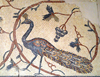 Mount Nebo - Madaba governorate - Jordan: peacock and grapevines - ornate Byzantine floor mosaics in the basilica - photo by M.Torres