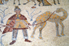Mount Nebo - Madaba governorate - Jordan: Byzantine mosaic in the old diaconicon baptistry of the basilica - man with camel - photo by M.Torres