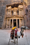 Jordan - Petra: Khazneh - Treasury - camel - UNESCO world heritage site - photo by M.Torres