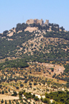 Ajlun / Ajloun - Jordan: Ajlun castle - Qala'at al Rabadh - built by Izz al-Din Usama, a nephew of Saladin - castelo - castillo - chateau - Schloss - photo by M.Torres