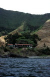 Juan Fernandez islands - Robinson Crusoe island: hosteria El Pangal (photo by Willem Schipper)
