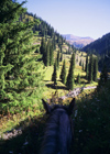 Kazakhstan - Almaty oblys: visiting the countryside on a horse - photo by E.Petitalot