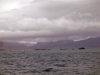 Kerguelen island: Ilots Joubin (Joubin Islets), near the end of Baie de la Table (photo by Francis Lynch)