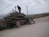 Kosovo: rural life - wood and tractor - photo by A.Kilroy