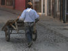 Kosovo - Prizren / Prizreni: man with a barrow / push cart / trolley - photo by J.Kaman