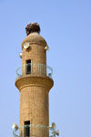 Erbil / Hewler / Arbil / Irbil, Kurdistan, Iraq: mosque on the main square, Shar Park, under the citadel - minaret with bird's nest and loud-speakers - blue sky with copy space - photo by M.Torres