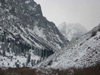 Ala-Archa National Park, Chuy oblast, Kyrgyzstan, Central Asia: valley - winter scene - photo by D.Ediev