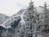 Kyrgyzstan - Ala-Archa National Park - Chuy oblast: gazing at the mountain top - trees and snow - photo by D.Ediev