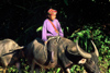 Laos: farmer riding a buffalo - photo by E.Petitalot