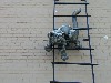 Latvia - Ventspils: Parventa detail of the sculpture composition ''cat and  chimney sweeper'' wall of an apartment building (photo by A.Dnieprowsky)