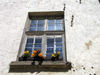 Latvia - Dundaga: summer - window with flowers (Talsu Rajons - Kurzeme) - photo by A.Dnieprowsky