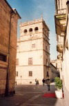 Leon - Salamanca: torre - Palacio de Monterrey - calle de Iscar Peira / tower - Monterrey palace (photo by Miguel Torres)
