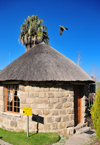 Maseru, Lesotho: Lancer's Inn - sandstone, wood and thatch roundavel chalet - Pioneer Road - pigeon in flight - photo by M.Torres