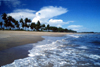 Grand Bassa County, Liberia, West Africa: on the beach - coconut trees and white - tropical beach - photo by M.Sturges