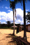Grand Bassa County, Liberia, West Africa: village and palms - photo by M.Sturges