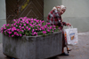 Lithuania - Vilnius: old lady and flower pot - old town - photo by Sandia