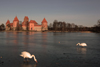 Trakai, Lithuania: Trakai Island Castle - swans on the ice - photo by A.Dnieprowsky