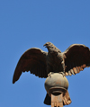Antananarivo / Tananarive / Tana - Analamanga region, Madagascar: Queen's Palace - Rova - Ankadinandriana - bronze eagle, a gift of Napoleon III - photo by M.Torres