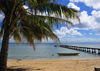 Vohilava, le Sainte Marie / Nosy Boraha, Analanjirofo region, Toamasina province, Madagascar: coconut tree, beach and jetty - photo by M.Torres
