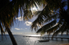 Vohilava, le Sainte Marie / Nosy Boraha, Analanjirofo region, Toamasina province, Madagascar: pier and coconut trees agains the sun - photo by M.Torres