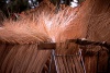Madeira - secagem de vimes / drying osier - photo by F.Rigaud