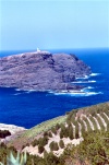 ilha do Porto Santo -  Ponta da Canaveira: ilhu do Ferro / Ferro islet (image by F.Rigaud)