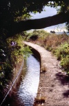 Madeira - levada - water channel - photo by F.Rigaud