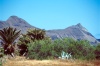 ilha do Porto Santo -  Pico Juliana / Juliana peak (image by F.Rigaud)