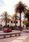 ilha do Porto Santo - Vila Baleira: debaixo das palmeiras (image by M.Durruti)
