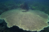 Malaysia - underwater image - Perhentian Island - Mullet point: Table coral - Acropora Hyacinthus (photo by Jez Tryner)