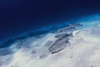 Perhentian Islands, Terengganu, Malaysia: D'Lagoon - Fringelip Mullet on the sea floor - Crenimugil crenilabis - photo by S.Egeberg