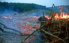 Fire deforestation - ashes of the rain forest, Sarawak, Malaysia. photo by B.Lendrum