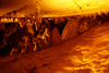 Gunung Mulu National Park, Sarawak, Borneo, Malaysia: Lang Cave- conical stalagmites - photo by A.Ferrari