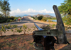 Mangochi, Malawi: Hotchkiss gun from British Nyasaland Guendolen gun boat, famous for the 1994 attack on the German vessel Hermann von Wissmann - Bakili Muluzi bridge - photo by M.Torres