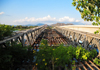 Mangochi, Malawi: remains of the old truss bridge over the River Shire, now taken over by vegetation - photo by M.Torres